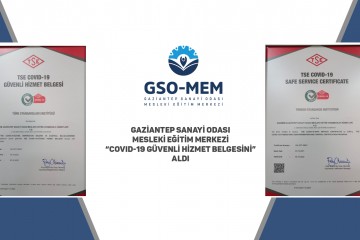 GSO-MEM RECEIVES 